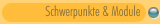 Schwerpunkte & Module