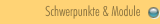 Schwerpunkte & Module